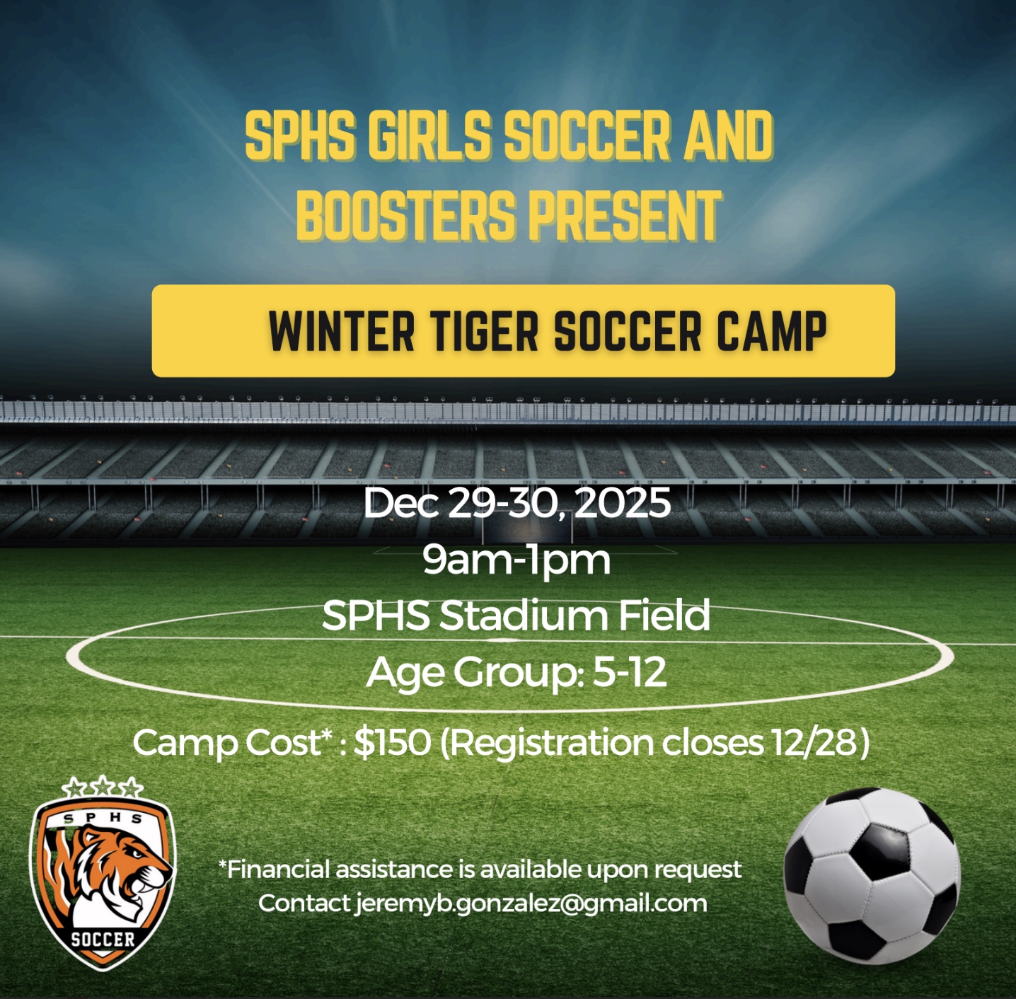 Tiger Soccer Camp