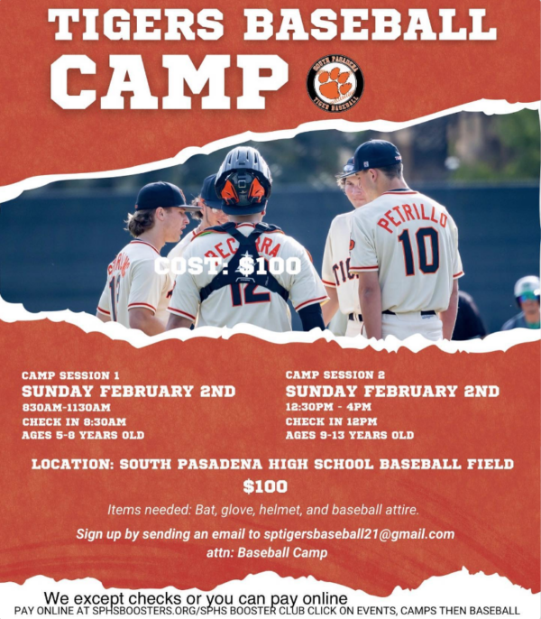 Tigers Baseball Camp